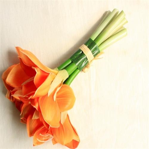 PU Kaffir Lily