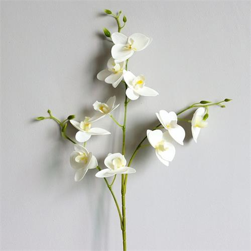 3 Branches Real Touch Phalaenopsis Orchid