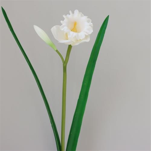 PU Daffodil