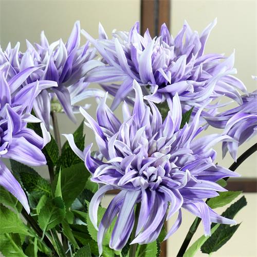 PU Dahlia