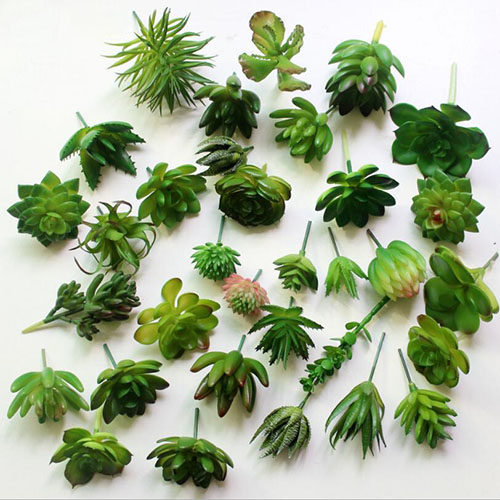 Artificial succulent